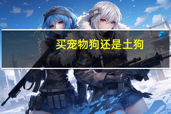 买宠物狗还是土狗
