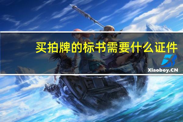 买拍牌的标书需要什么证件