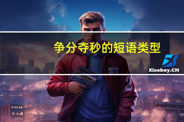 争分夺秒的短语类型