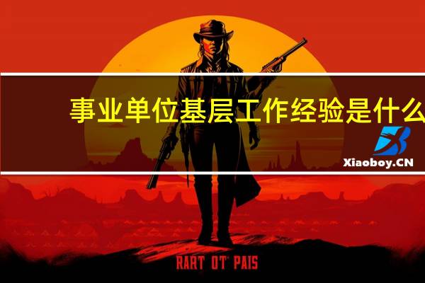 事业单位基层工作经验是什么