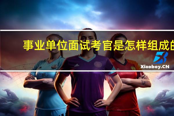 事业单位面试考官是怎样组成的
