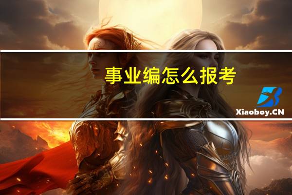 事业编怎么报考