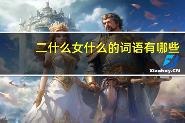 二什么女什么的词语有哪些?
