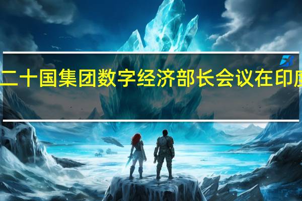 二十国集团数字经济部长会议在印度举行