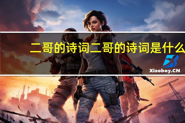 二哥的诗词二哥的诗词是什么