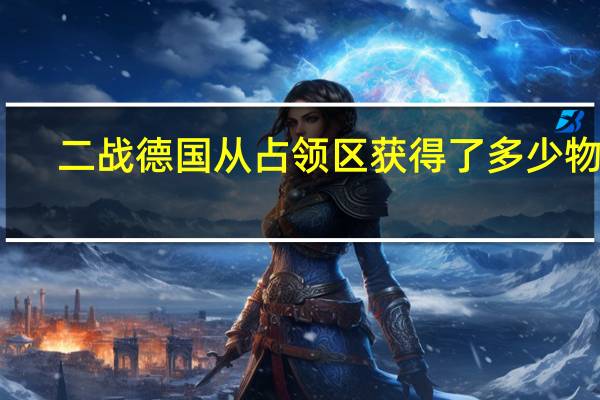 二战德国从占领区获得了多少物资
