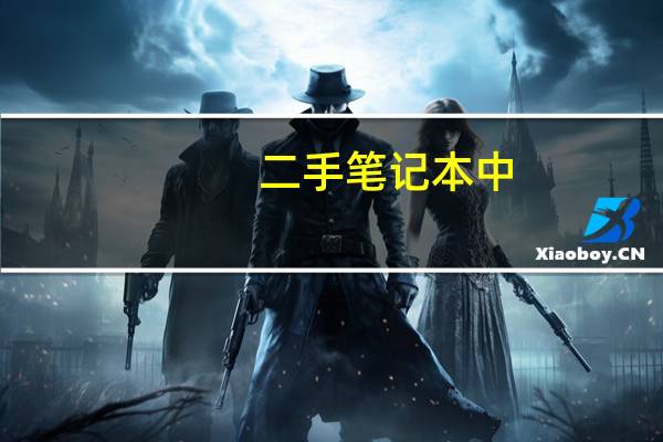 二手笔记本中,NEC的电脑怎么样哪