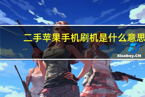 二手苹果手机刷机是什么意思（手机刷机是什么意思）