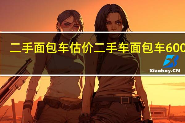 二手面包车估价 二手车面包车6000元