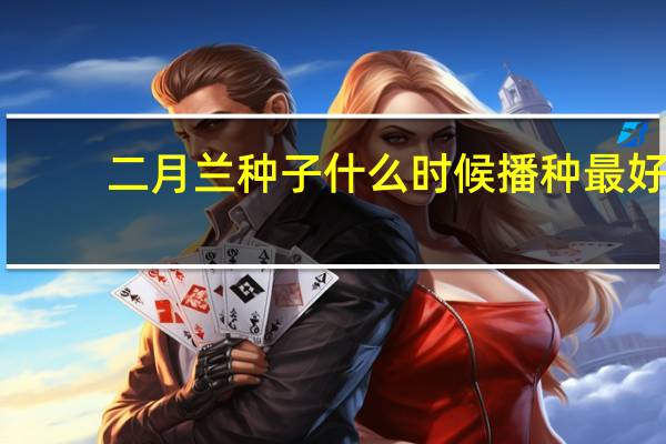 二月兰种子什么时候播种最好