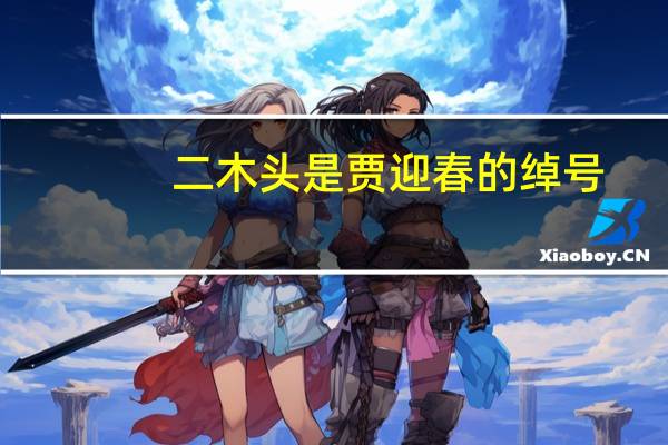 二木头是贾迎春的绰号