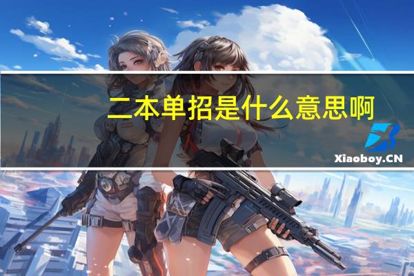 二本单招是什么意思啊