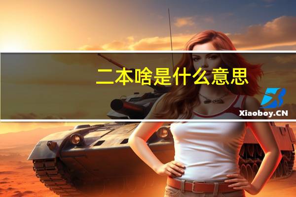 二本啥是什么意思