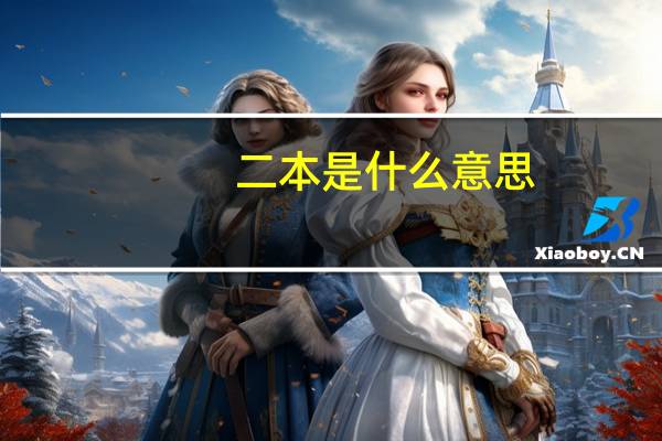 二本是什么意思