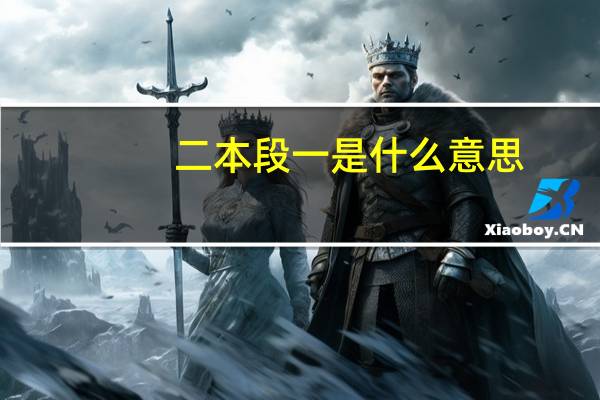 二本段一是什么意思