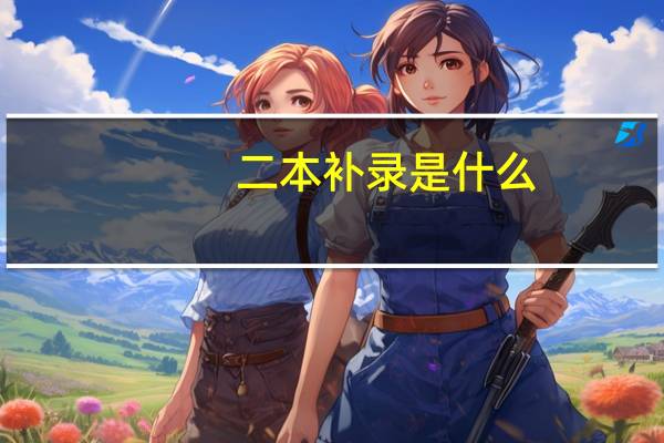 二本补录是什么