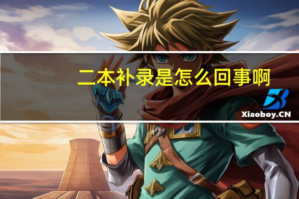 二本补录是怎么回事啊
