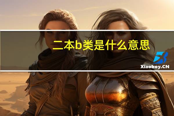 二本b类是什么意思
