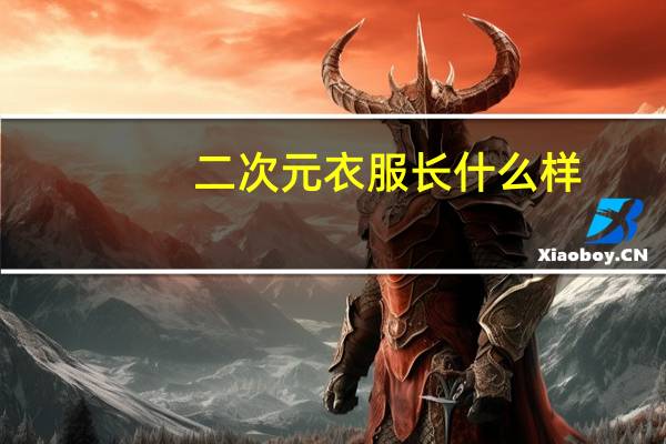 二次元衣服长什么样