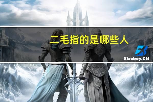 二毛指的是哪些人