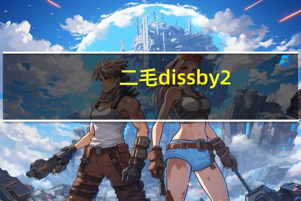 二毛dissby2（二毛中国有嘻）