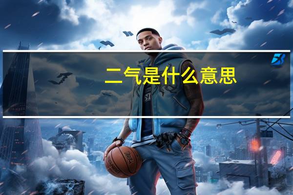 二气是什么意思
