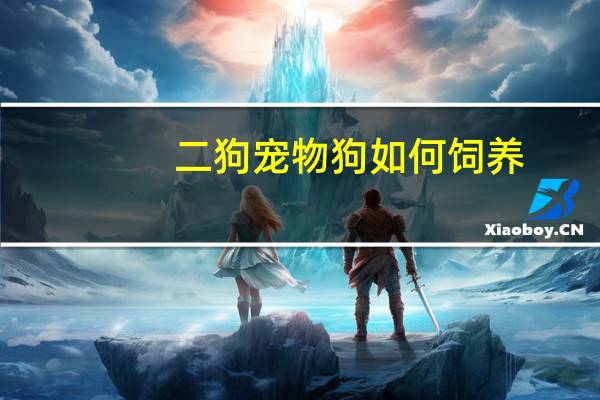 二狗宠物狗如何饲养
