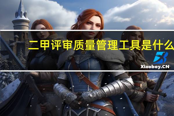 二甲评审 质量管理工具是什么
