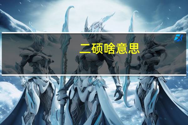 二硕啥意思