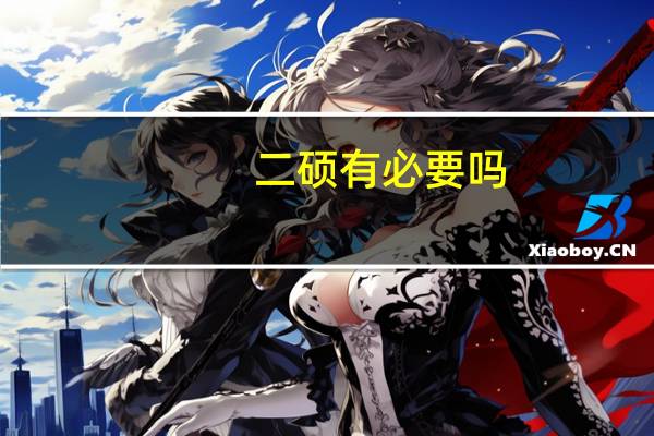 二硕有必要吗