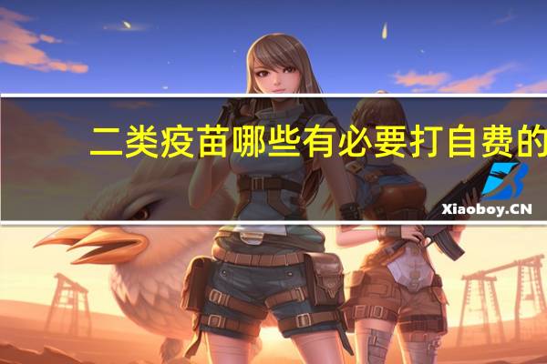 二类疫苗哪些有必要打自费的（二类疫苗哪些有必要打）
