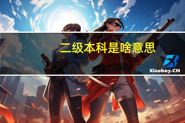 二级本科是啥意思