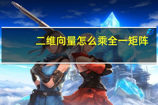 二维向量怎么乘全一矩阵