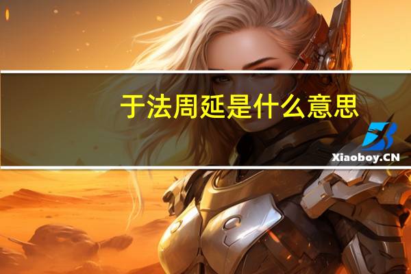 于法周延是什么意思