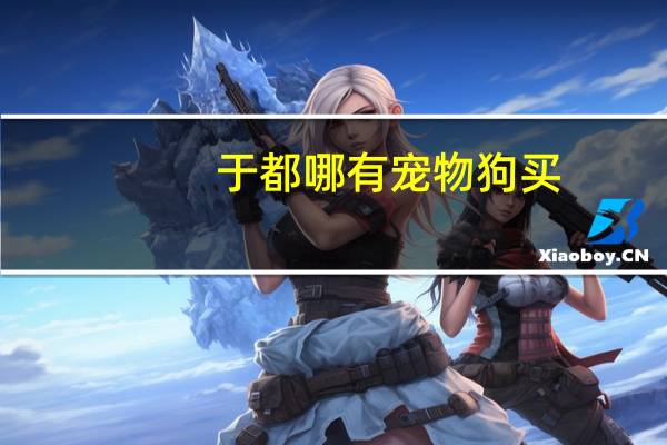于都哪有宠物狗买