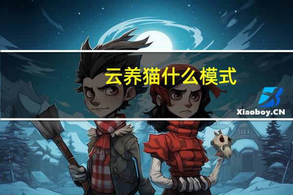 云养猫什么模式