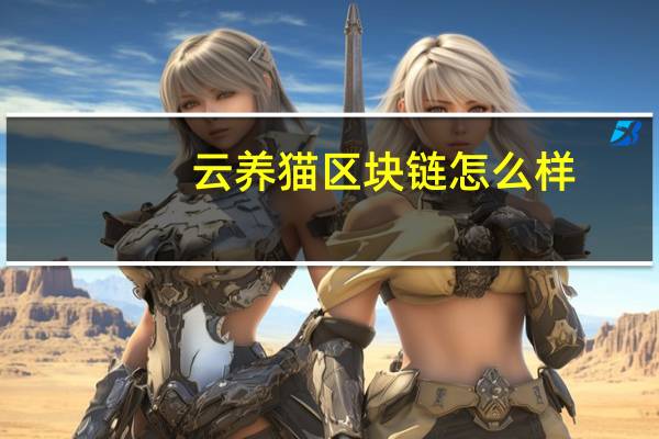 云养猫区块链怎么样