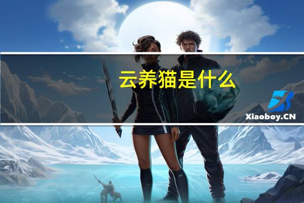 云养猫是什么