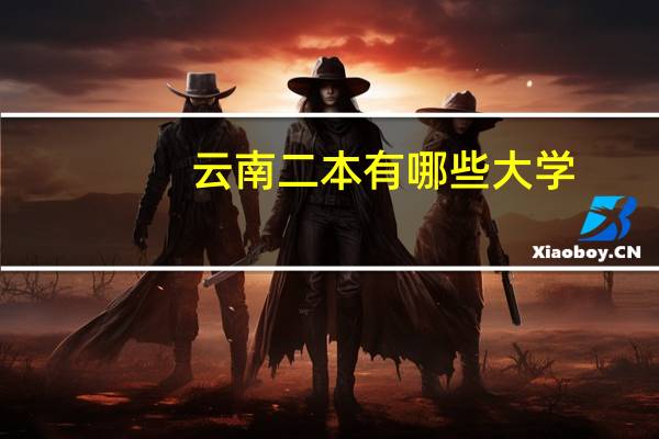 云南二本有哪些大学