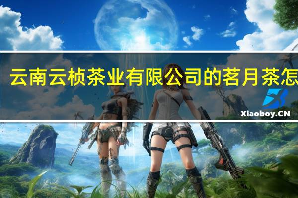 云南云桢茶业有限公司的茗月茶怎么样