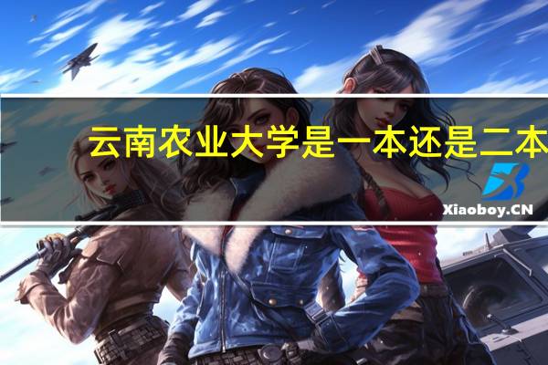 云南农业大学是一本还是二本