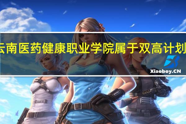 云南医药健康职业学院属于双高计划院校吗