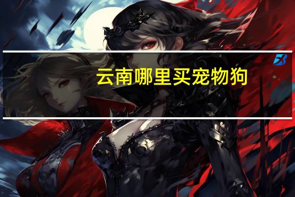 云南哪里买宠物狗