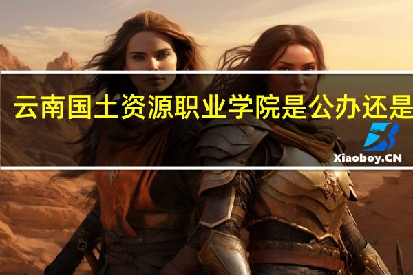 云南国土资源职业学院是公办还是民办