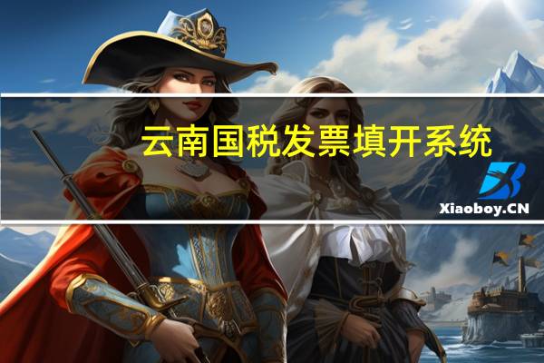 云南国税发票填开系统（云南国税开票系统）