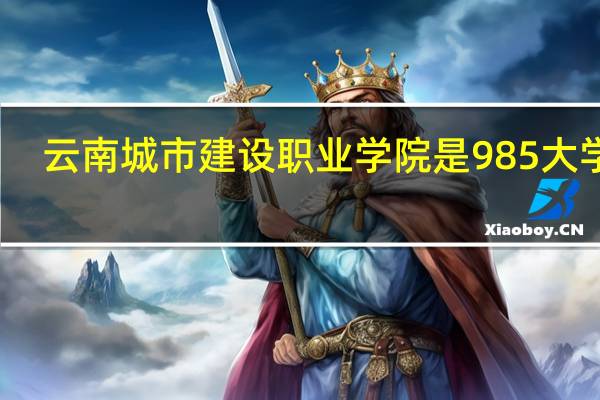 云南城市建设职业学院是985大学吗