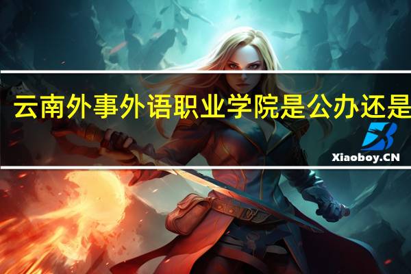 云南外事外语职业学院是公办还是民办