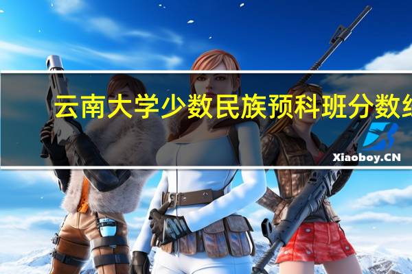 云南大学少数民族预科班分数线