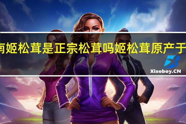 云南姬松茸是正宗松茸吗 姬松茸原产于中国对吗