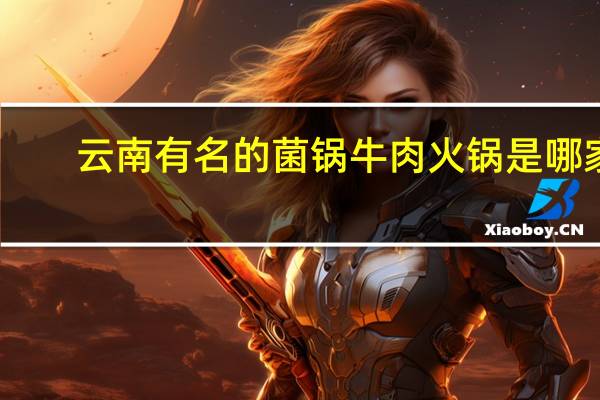 云南有名的菌锅牛肉火锅是哪家